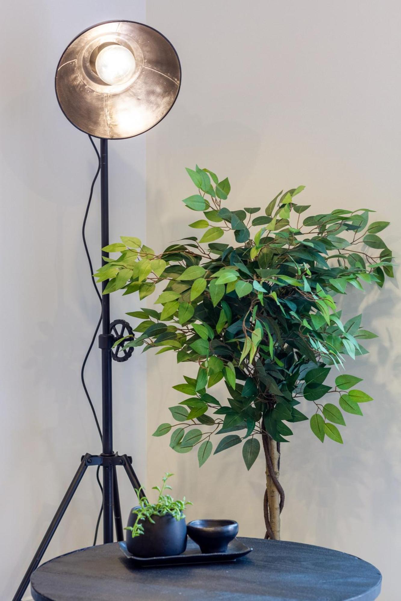 Merivale Gem: 2Br Townhouse Oasis Christchurch Luaran gambar